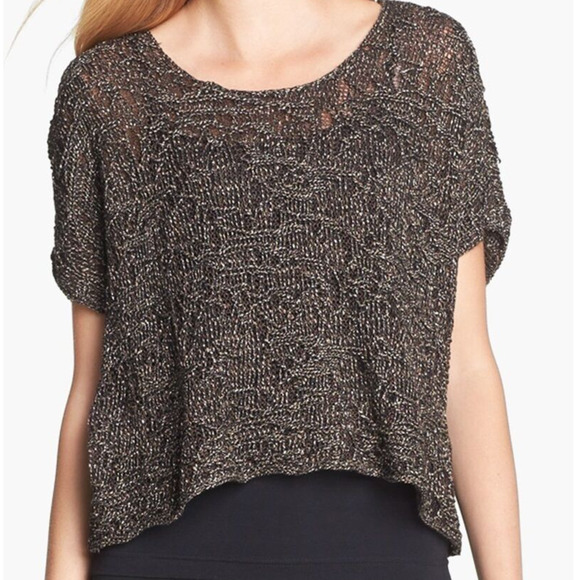 Eileen Fisher Dolman Boxy Sweater L PL LP Top Brown Gold Shimmer Linen Capsule - Picture 1 of 10